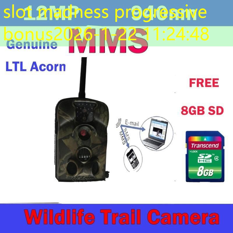 slot madness progressive bonus